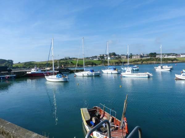 The Clamshell Appartement Isle of Whithorn Buitenkant foto